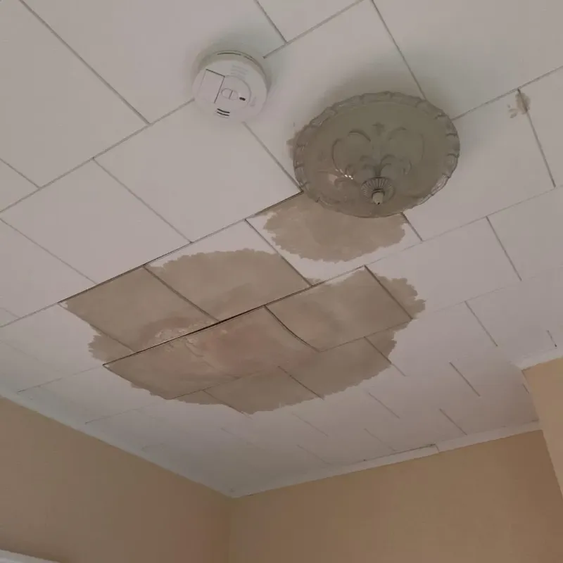 Ceiling Water Damage Repair in Culver, IN