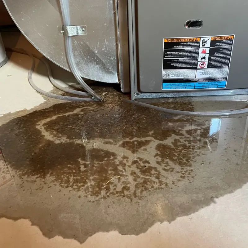 Pipe Burst and Leak Restoration in Culver, IN