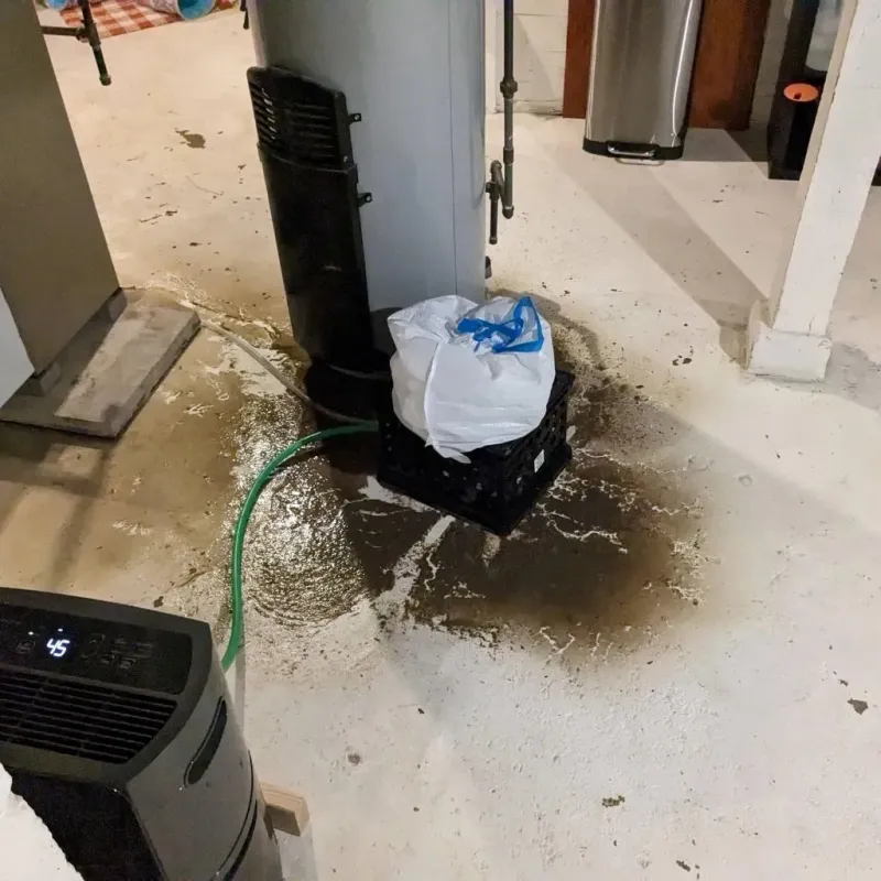Sewage Backup Cleanup Service in Culver, IN